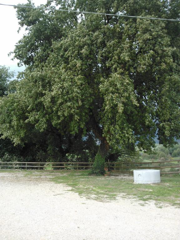 Agriturismo Varcodoro Giuliano di Roma Zewnętrze zdjęcie